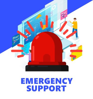 Emergency WordPress Support